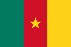 Visa Cameroun : Demande de visa pour le Cameroun